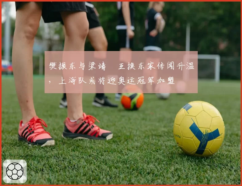 樊振东与梁靖崑互换东家传闻升温，上海队或将迎奥运冠军加盟
