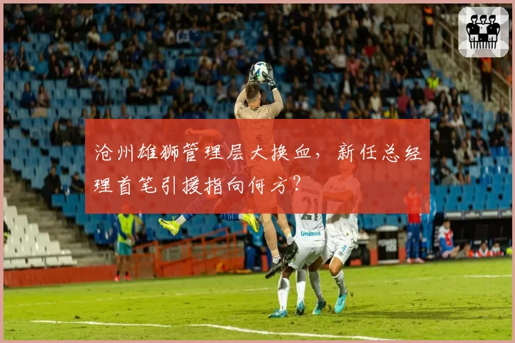 沧州雄狮管理层大换血，新任总经理首笔引援指向何方？