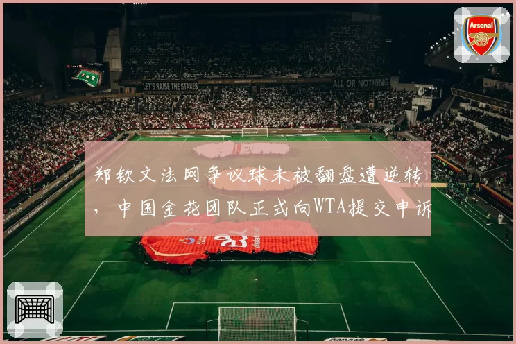 郑钦文法网争议球未被翻盘遭逆转，中国金花团队正式向WTA提交申诉文件