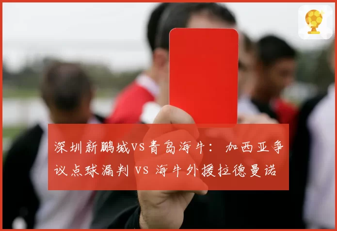 深圳新鹏城vs青岛海牛：加西亚争议点球漏判 vs 海牛外援拉德曼诺瓦茨假摔骗点，裁判识别能力对比