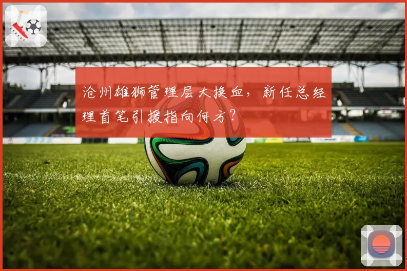 沧州雄狮管理层大换血，新任总经理首笔引援指向何方？